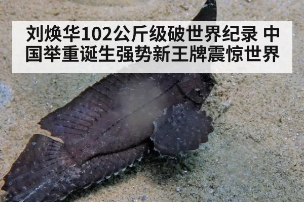 刘焕华102公斤级破世界纪录 中国举重诞生强势新王牌震惊世界